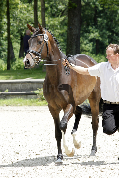 My Joy © Lune Jancke